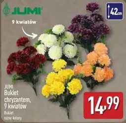 ALDI JUMI Bukiet chryzantem oferta