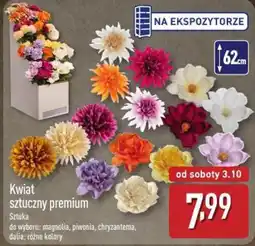 ALDI Kwiat sztuczny premium oferta