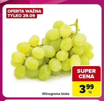 Carrefour Express Winogrona białe oferta