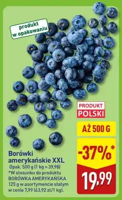 ALDI Borówki amerykańskie XXL oferta