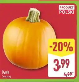 ALDI Dynia oferta