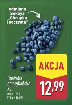 ALDI Borówka amerykańska XL oferta