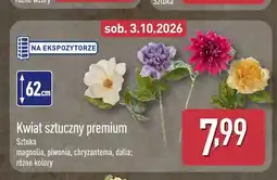 ALDI Kwiat sztuczny premium magnolia oferta