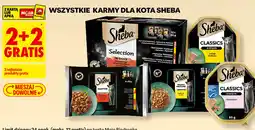 Biedronka Wszystkie karmy dla kota Sheba oferta