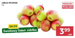 Stokrotka Jabłka wczesne oferta