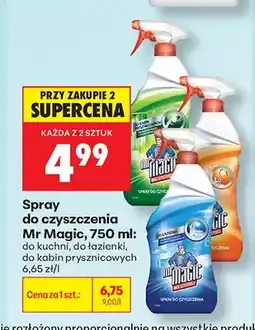 Biedronka Spray do czyszczenia Mr Magic do kuchni oferta