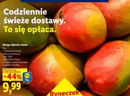 Lidl Mango dojrzałe, luzem oferta