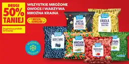 Biedronka Wszystkie mrożone owoce i warzywa Mroźna Kraina oferta