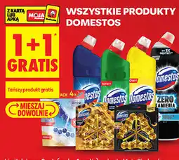 Biedronka Wszystkie produkty Domestos oferta