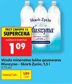 Biedronka Woda mineralna lekko gazowana Muszyna - Skarb Życia oferta