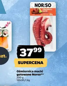 Netto Ośmiornica Norso oferta