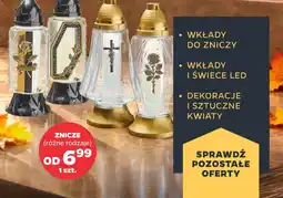 Netto Wkład led do zniczy oferta