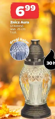 Netto Znicz Aura oferta