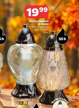 Netto Znicz oferta