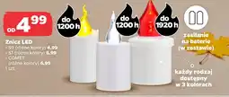 Netto Znicz led oferta
