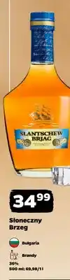 Netto Brandy Słoneczny Brzeg oferta