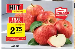 Gram Market Jabłka oferta
