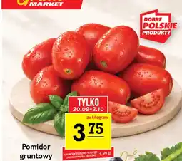 Gram Market Pomidory gruntowe oferta
