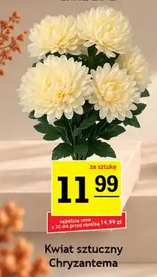 Gram Market Kwiat sztuczny chryzantema oferta