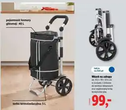 Lidl Wózek na zakupy oferta