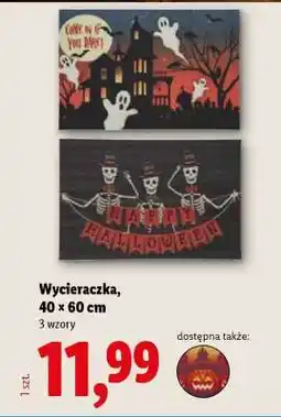 Lidl Wycieraczka oferta