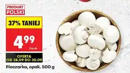 Biedronka Pieczarka opak 500 g oferta