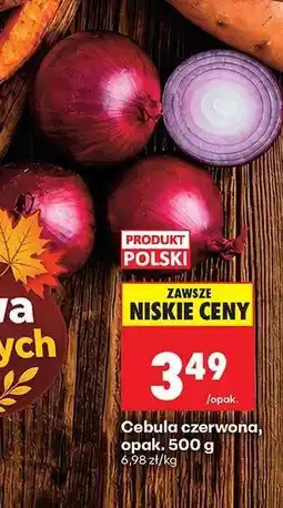 Biedronka Cebula czerwona opak . 500 g oferta