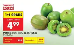 Biedronka Polskie mini kiwi opak . 125 g oferta