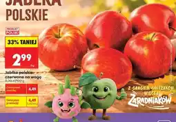 Biedronka Jabłka polskie czerwone na wagę oferta