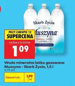 Biedronka Woda mineralna lekko gazowana Muszyna Skarb Życia, 1,5 l oferta