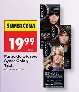 Biedronka Farba do włosów Syoss Color, 1 szt oferta