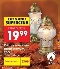 Biedronka Znicz z wkładem parafinowym, 250 g oferta