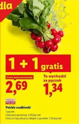 Lidl Polskie rzodkiewki oferta