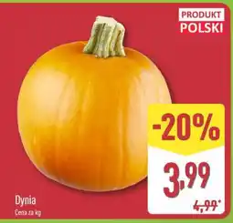 ALDI Dynia oferta