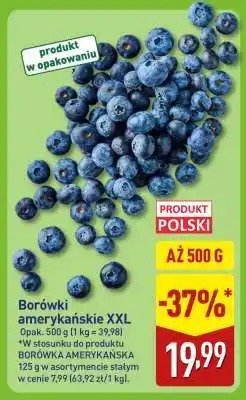 ALDI Borówki amerykańskie XXL oferta