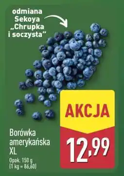ALDI Borówka amerykańska XL oferta