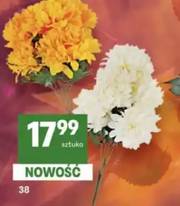 Delikatesy Centrum Kwiaty oferta