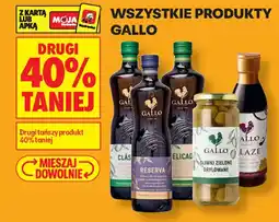 Biedronka Gallo Oliwki Zielone Drylowane oferta