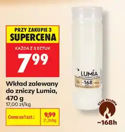 Biedronka Wkład zalewany do zniczy Lumia oferta