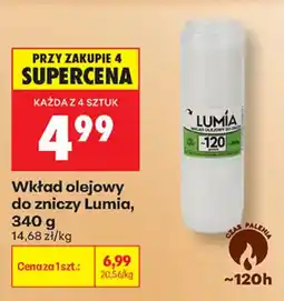 Biedronka Wkład olejowy do zniczy Lumia oferta