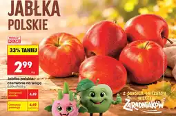 Biedronka Jabłko polskie czerwone na wagę oferta