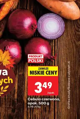 Biedronka Cebula czerwona oferta