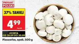 Biedronka Pieczarka oferta