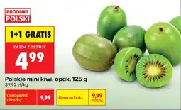 Biedronka Polskie mini kiwi oferta