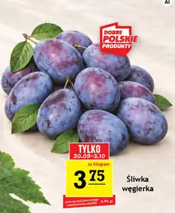 Gram Market Śliwka węgierka oferta