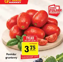 Gram Market Pomidor gruntowy oferta