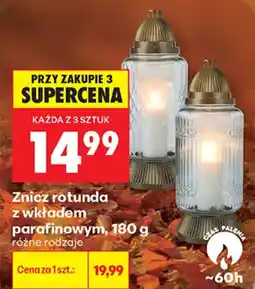 Biedronka Znicz rotunda oferta