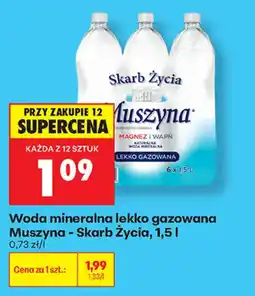 Biedronka Woda mineralna lekko gazowana Muszyna - Skarb Życia oferta