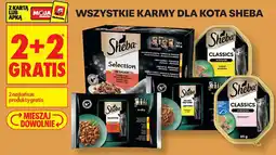 Biedronka Karmy dla kota Sheba oferta