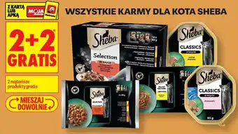 Karmy dla kota Sheba